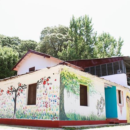 לנסדאון Windsor Cottages מראה חיצוני תמונה